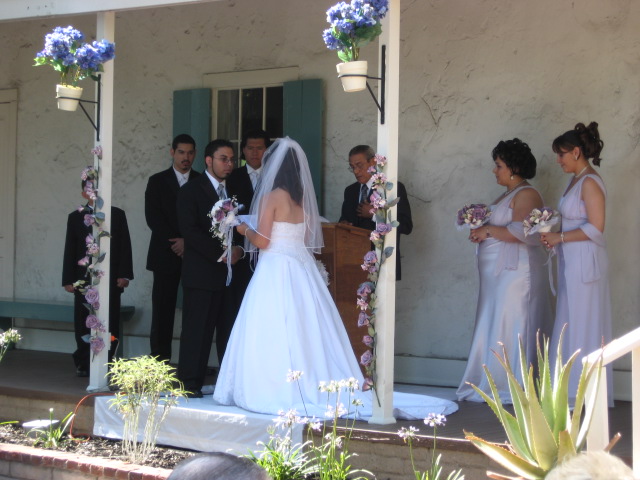 617x456 pixels (111K)